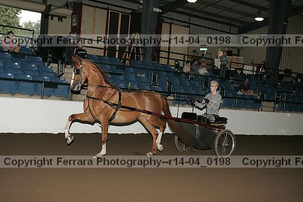 Proof Number r14-04_0198